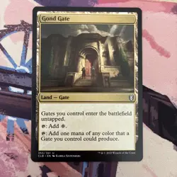 Gate Land Bundle - Sea Gate, Citadel Gate, Gond Gate.. - Magic the Gathering MTG - Image 5