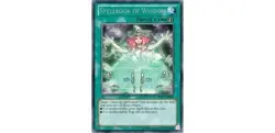 Yugioh - Spellbook of Wisdom (Rare) (1st Edition) - REDU-EN060 P - Image 1