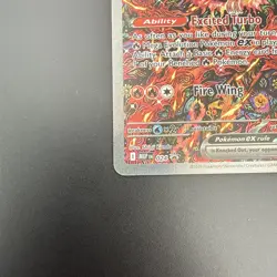 Pokemon - 024 - Oricorio ex - Mega Evolution Promo - Image 4