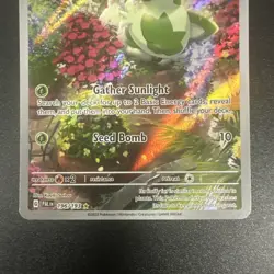 Pokemon TCG Sprigatito Holo Card Paldea Evolved, Illustration Rare, Card 196/193 - Image 3