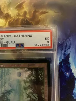 Magic: The Gathering Forest Guru Promo 1999 PSA 5 - Image 3