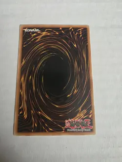 DARK PALADIN DMG 001 LP YU GI OH - Image 2
