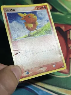 Torchic 017 Nintendo Promo Pokemon Card 2004 Holo Black Star Rare HP SWIRL - Image 5