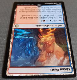 Steam Vents NM | MTG Shock Land | Lorwyn Eclipsed Dual | Commander / Modern - Image 3