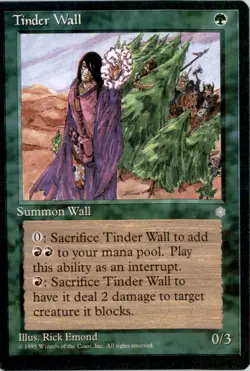 Tinder Wall Ice Age ICE Normal NM - Image 1