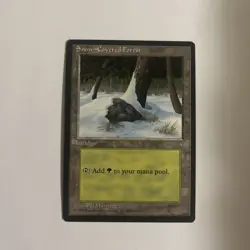 Snow-Covered Forest Ice Age Regular - Image 1