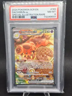 2024 Pokemon Dachsbun ex #169 PSA 8 NM-MT Special Illustration Rare SIR - Image 1