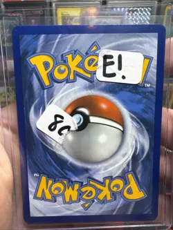 2014 Pokemon Gengar EX 34/119 XY - Phantom Forces Holo NM - Image 3