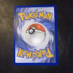 Dachsbun ex 169/142 Special Illustration Rare Stellar Crown English Pokemon card - Image 3