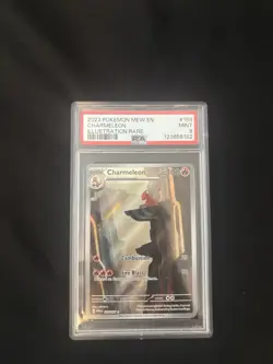 Pokemon TCG Charmeleon 169/165 Scarlet & Violet 151 Illustration Rare PSA 9 - Image 3