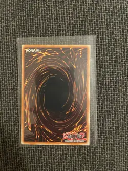 Yu-Gi-Oh TCG, Marie The Fallen One, DB1-EN241, unlimited, common - Image 2