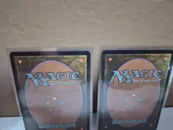 Quillspike ×2 Magic The Gathering - Eventide - Vintage MTG VLP - Image 5
