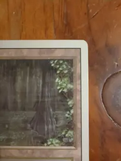 Bayou Revised Edition Regular NM - Image 3