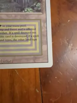 Bayou Revised Edition Regular NM - Image 4