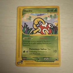 Pokemon TCG Shuckle Skyridge 96/144 Regular 2003 - Image 1