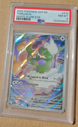 2025 Pokemon SVP EN Tornadus White Flare ETB #210 PSA 8 NM-MT - Image 1