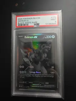 Pokemon TCG Zekrom EX Black Bolt English Card BWR 174/086 PSA9 - Image 1
