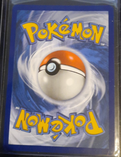 Skwovet SV: Paldean Fates #205/091 Baby Shiny Pokemon Card - Image 2