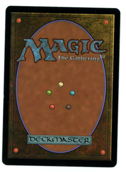 Terravore -- MTG (SP+/NM Quality) - Odyssey - See scans!! - Image 2