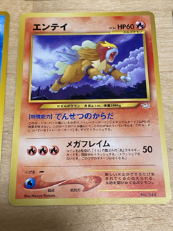 Pokemon Japanese Neo Promo LOT Premium File NM -- Eevee, Raikou, Suicune, Entei - Image 4