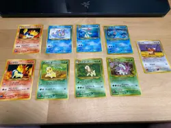 Pokemon Japanese Neo Promo LOT Premium File NM -- Eevee, Feralitgatr, Meganium - Image 1
