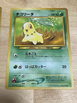 Pokemon Japanese Neo Promo LOT Premium File NM -- Eevee, Feralitgatr, Meganium - Image 3