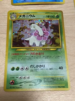 Pokemon Japanese Neo Promo LOT Premium File NM -- Eevee, Feralitgatr, Meganium - Image 5