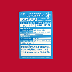 VENUSAUR (FUSHIGIDANA)--JAPANESE MEIJI EMBOSSED PROMO FOIL POKEMON CARD - Image 2
