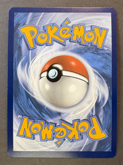 Heatmor 104/086 Illustration Rare Holo White Flare Pokemon Trading Card - Image 2