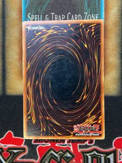 Yugioh Neo-Spacian Aqua Dolphin POTD-EN003 Ultimate Rare 1st Edition LP - Image 2