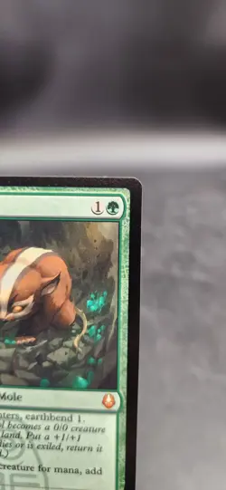 Badgermole Cub Magic: The Gathering ATLA NM Non-foil English - Image 4