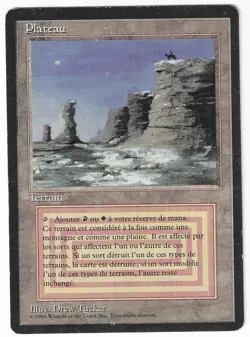 ►Magic-Style◄ MTG - Plateau - French Revised FBB - Played - Image 1