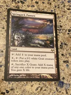 Springjack Pasture 179 Eventide Regular MTG TCG NM - Image 1