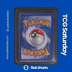 2009 POKEMON D&P BLACK STAR PROMO FALL COLLECTORS TINS #DP46 GARCHOMP C LV.X - Image 2