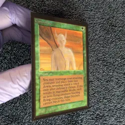 CAMOUFLAGE International Collector's Edition MTG Unplayed Near mint - Image 5