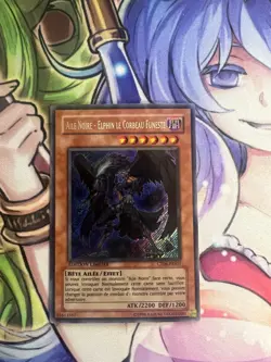 BLACKWING - ELPHIN THE RAVEN FRENCH SECRET CT06-ENS01 FRS01 LIGHT PLAY YUGIOH - Image 1