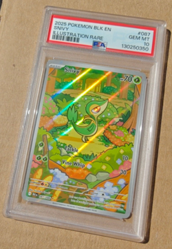 2025 Pokemon BLK EN SNIVY Illustration Rare #087 PSA 10 GEM MINT - Image 1