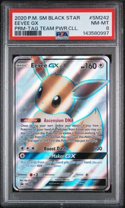 2020 Pokemon SM Black Star Promo Tag Team Powers Collar Eevee GX #SM242 PSA 8 - Image 1