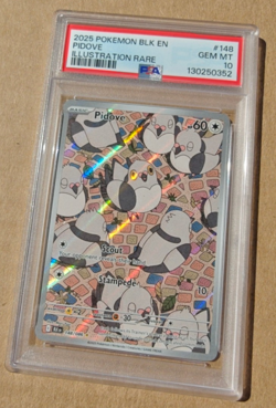 2025 Pokemon BLK EN PIDOVE Illustration Rare #148 PSA 10 GEM MINT - Image 1