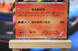 Ho-Oh 224/XY-P XY Promo Special Set Japanese Pokemon Card + Magnetic Holder - Image 5