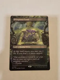 Overgrown Tomb (Borderless) Lorwyn Eclipsed Regular - Image 1