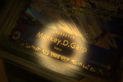 One Piece Monkey D. Garp Treasure cup top 16 2024 Promo Prize BGS 9.5 - Image 2