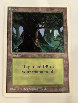 Forest (B) - Unlimited - Magic the Gathering MTG - Image 1