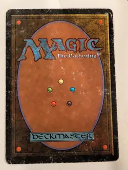 Forest (B) - Unlimited - Magic the Gathering MTG - Image 2