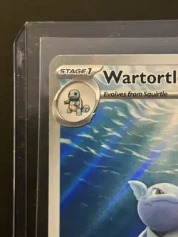 Pokemon TCG Scarlet & Violet Wartortle 171/165 Illustration Rare Holo Nm - Image 3