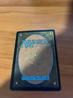 Adarkar Wastes (Borderless) Dominaria United (377) Foil LP MTG FREE SHIPPING - Image 2