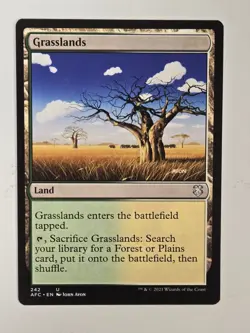 Grasslands U Commander: Adventures in the Forgotten Realms 242 NM - Image 1