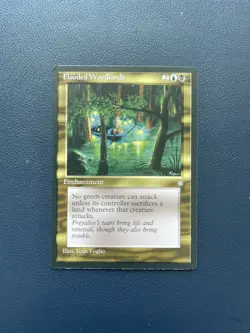 MTG Flooded Woodlands Ice Age Regular Rare - Image 1