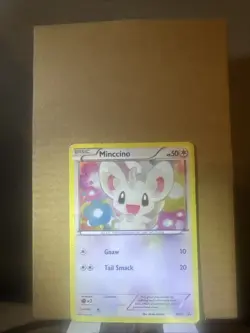 Pokemon TCG Minccino Black Star Promos Holo Card BW13 MP - Image 1