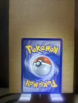 Pokemon TCG Minccino Black Star Promos Holo Card BW13 MP - Image 3